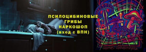 СК Богородицк