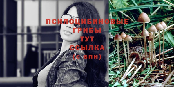 мяу мяу кристалл Богородск