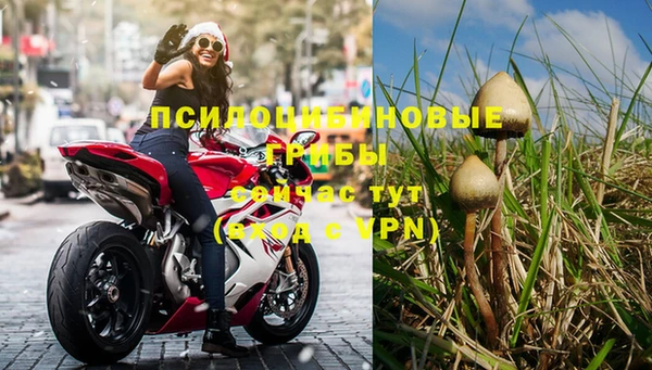 скорость Богданович