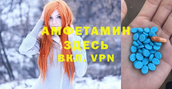 СК Богородицк