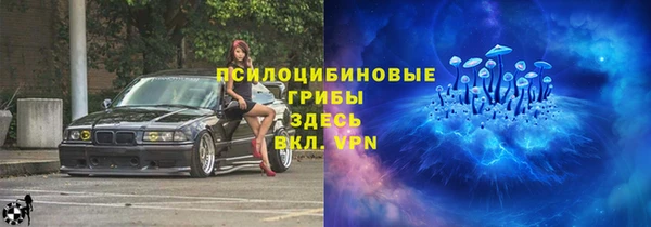 СК Богородицк